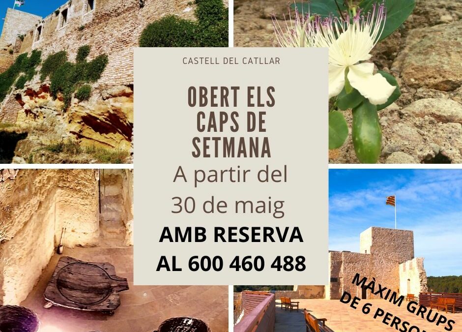 TORNEN LES VISITES AL CASTELL
