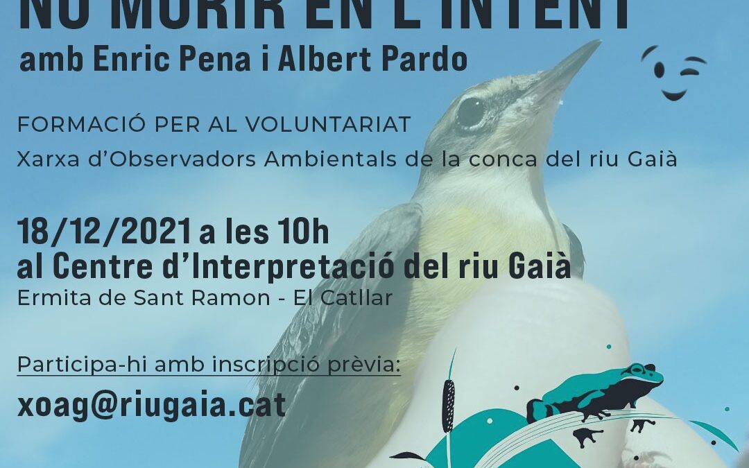 TALLER CENTRE INTERPRETACIÓ RIU GAIÀ 18.12.2021