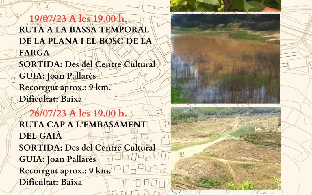 12/07/23 PRIMERA RUTA A PEU DE FEM ESTIU, FEM CULTURA: RUTA DELS RASTRES IBERS