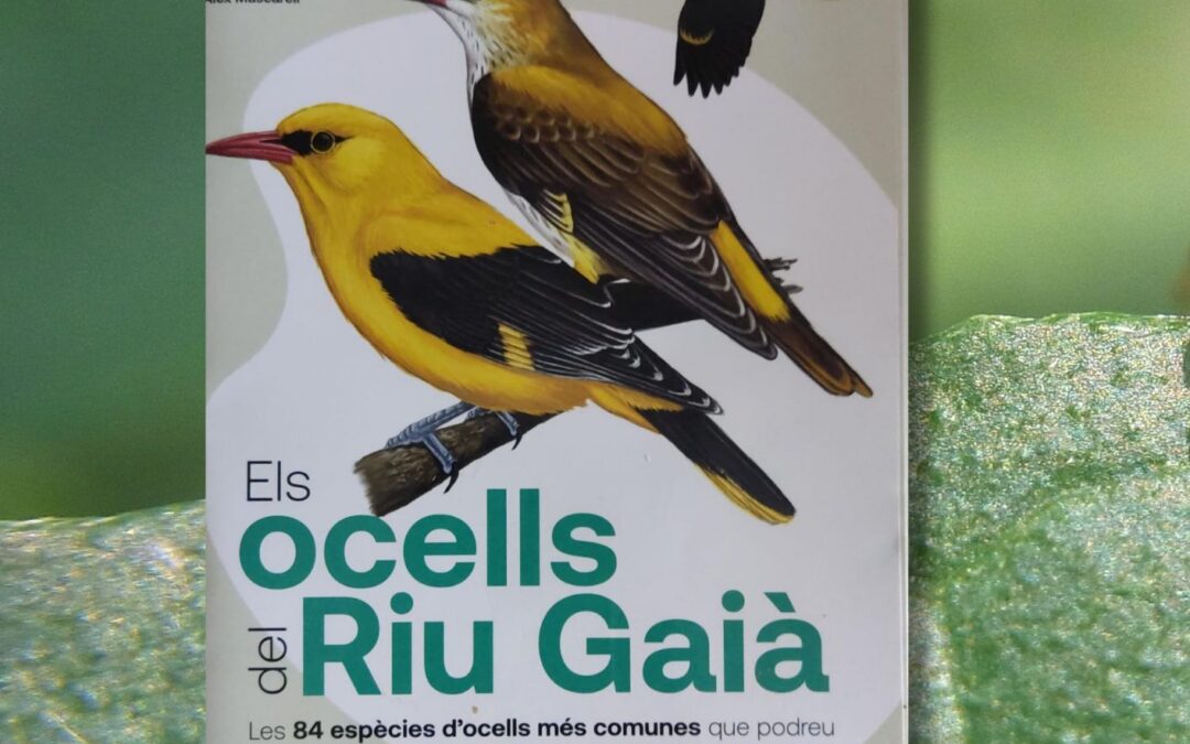 PRESENTACIÓN DE LA GUIA “ELS OCELLS DEL RIU GAIÀ”