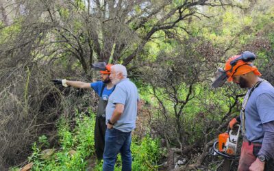 Visita del concejal de Medio Ambiente a los trabajos de renaturalización en las lagunas de El Catllar