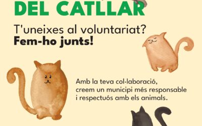 L’Ajuntament del Catllar busca voluntaris per tenir cura de les colònies felines