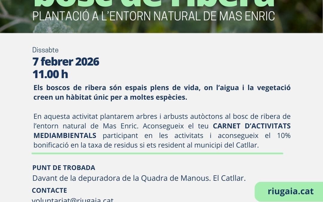 Bosc de ribera. Plantació a l’entorn natural del Mas Enric