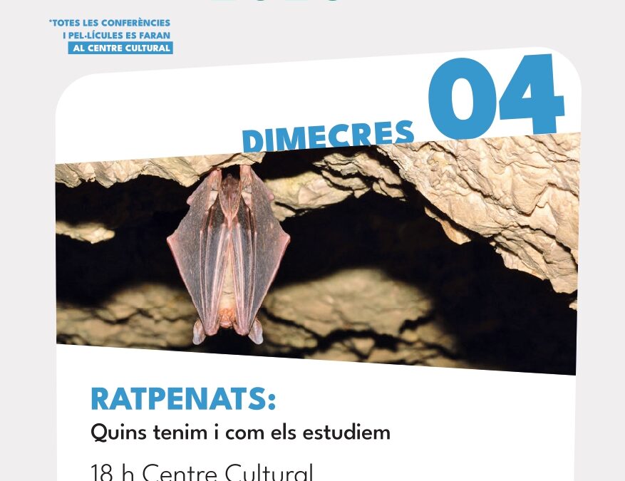 Ratpenats: Quins tenim i com els estudiem