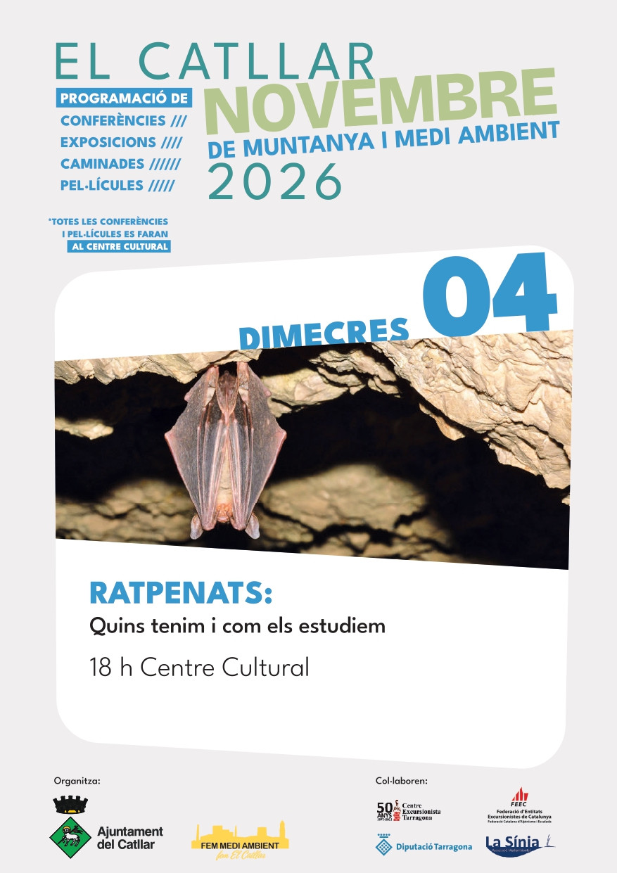 Ratpenats: Quins tenim i com els estudiem